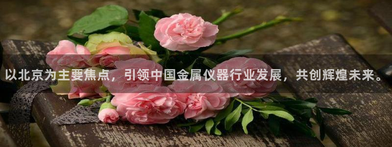 云顶国际app下载唯一平台：以北京为主要焦点，引领中国金属仪