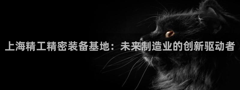 云顶国际地址：上海精工精密装备基地：未来制造业的创新驱动者