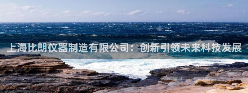 云顶国际酒店老板是谁：上海比朗仪器制造有限公司：创新引领未来