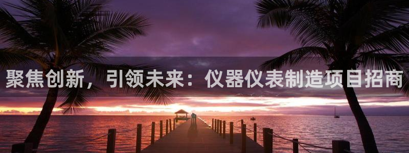 云顶集团简介资料：聚焦创新，引领未来：仪器仪表制造项目招商