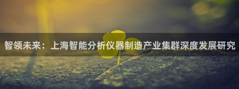 云顶游戏官网网址：智领未来：上海智能分析仪器制造产业集群深度