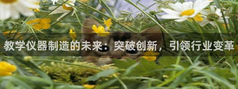 云顶国际二手房价格走势：教学仪器制造的未来：突破创新，引领行