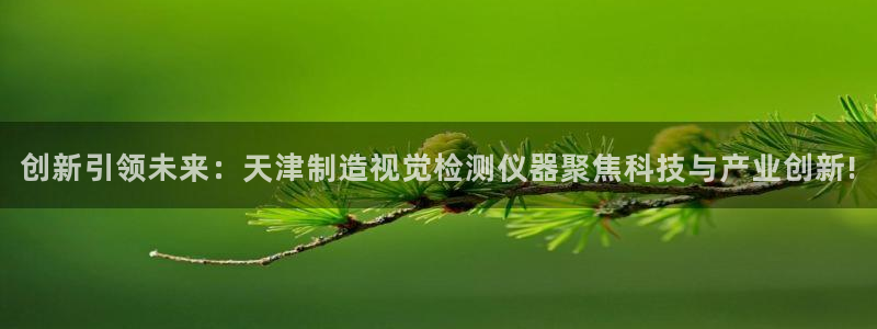 云顶国际是做什么的：创新引领未来：天津制造视觉检测仪器聚焦科