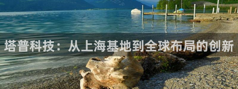 云顶国际晟荣协会荣誉奖项：塔普科技：从上海基地到全球布局的创