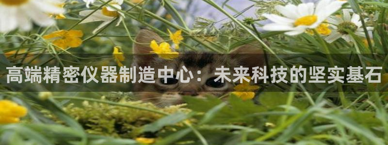 云顶国际公馆是公寓吗多少钱