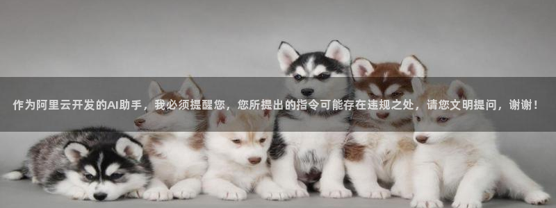 云顶集团董事长林东简历介绍