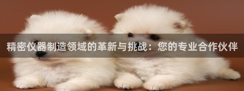 太原云顶国际老板：精密仪器制造领域的革新与挑战：您的专业合作