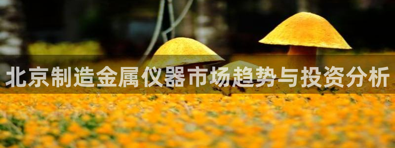 云顶esl