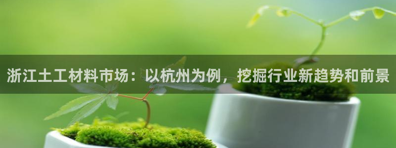 云顶国际服s11：浙江土工材料市场：以杭州为例，挖掘行业新趋