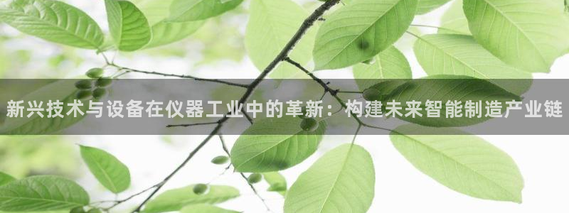 云顶国际服s11：新兴技术与设备在仪器工业中的革新：构建未来