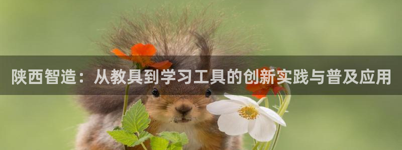 12311云顶线路检测：陕西智造：从教具到学习工具的创新实践